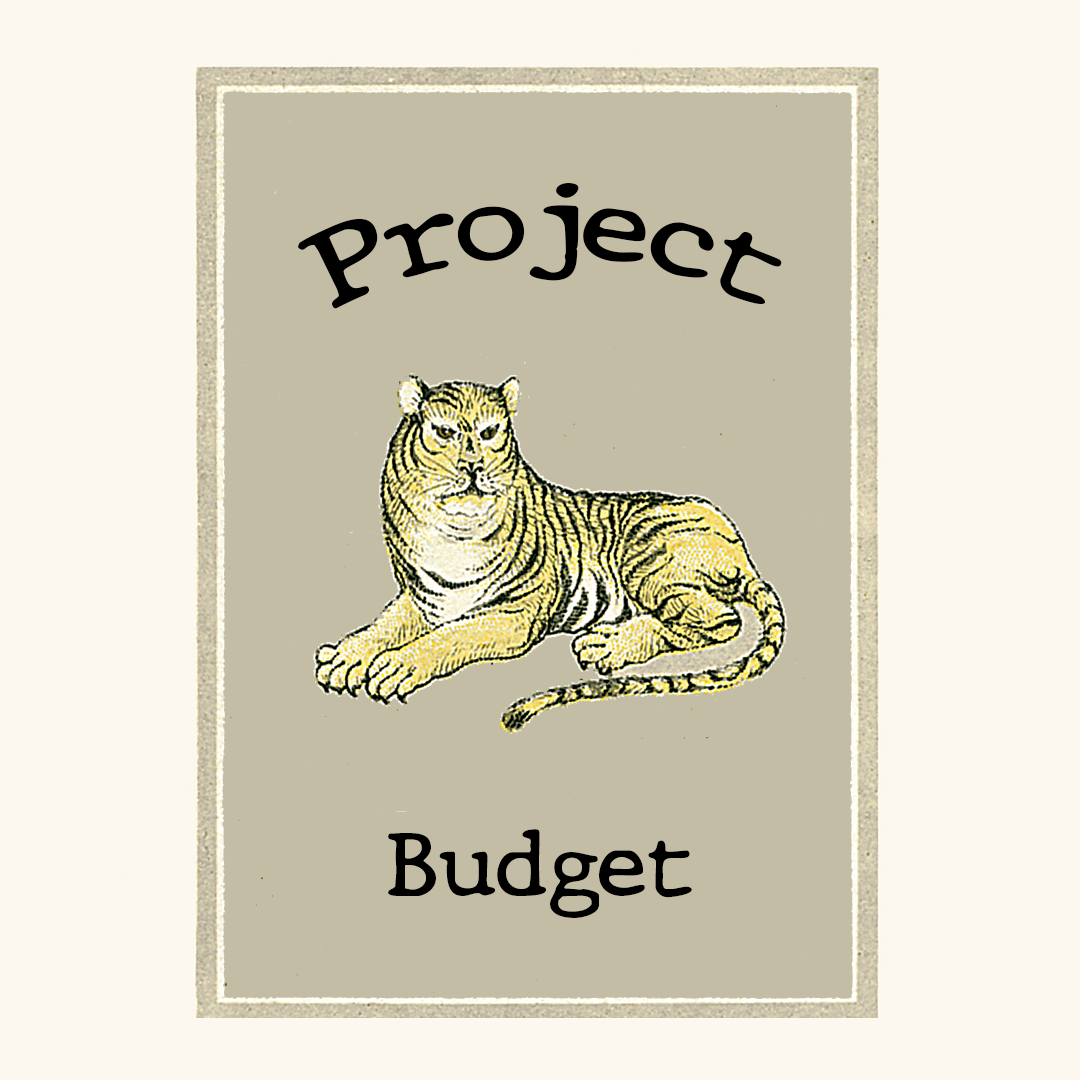 12. project budget