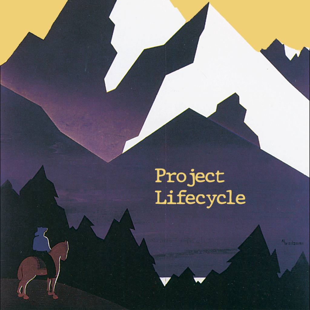 Project Lifecycle The Shaped Marketer