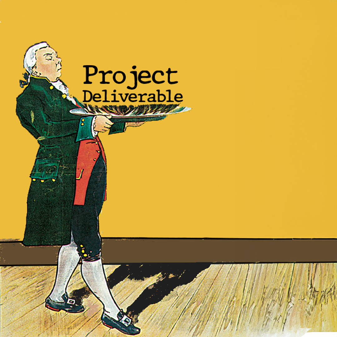 8. project deliverable