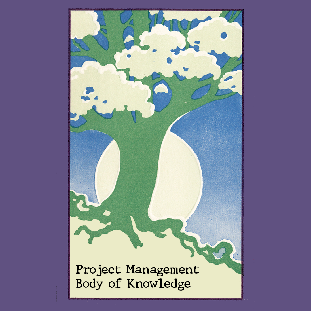 30. project management body of knowledge